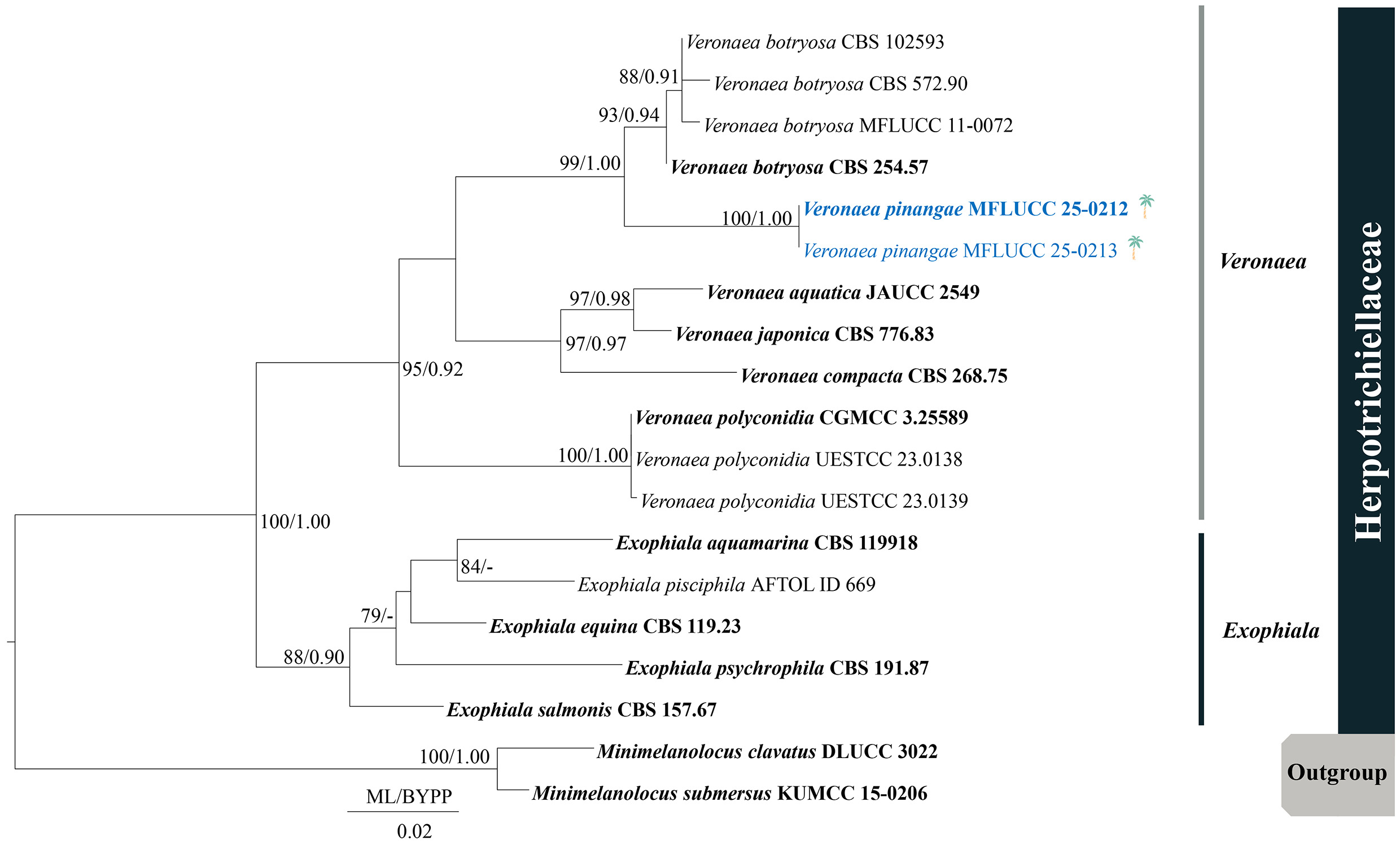 Figure 59